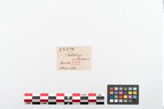 Etiketten zu Eisengriffangelmesser (NHMW-PRAE-024359)